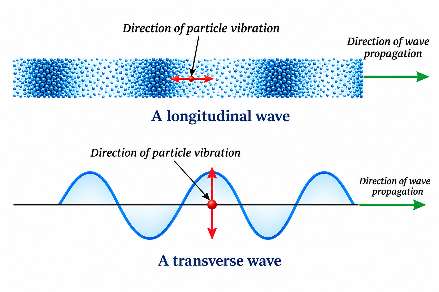 NCERT Figure 10.12 & 10.13: Longitudinal Wave vs Transverse Wave Motion